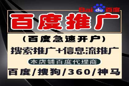 竞价广告赚钱：百度平台成功案例分析